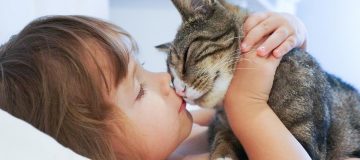 Niña besando a gato para Respeto a los animales
