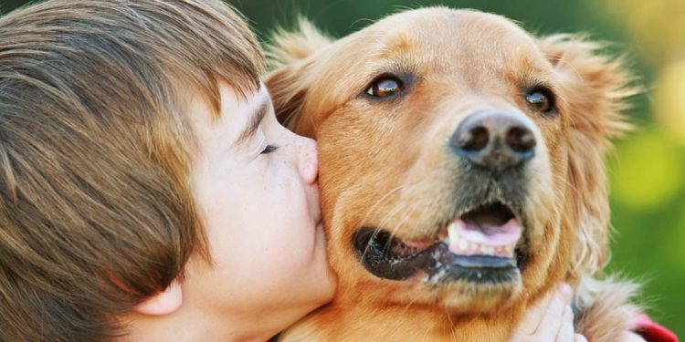 Niño abrazando y besando un perro de la raza Golden Retriever para conmemorar el Día Mundial de los Animales