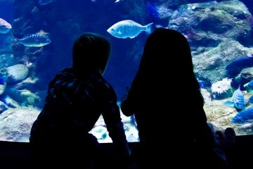 Imagen de dos niños en un acuario para ilustrar la importancia de explorar el océano desde el aula