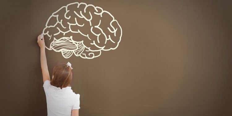 Neurociència educativa en els processos d’ensenyament-aprenentatge