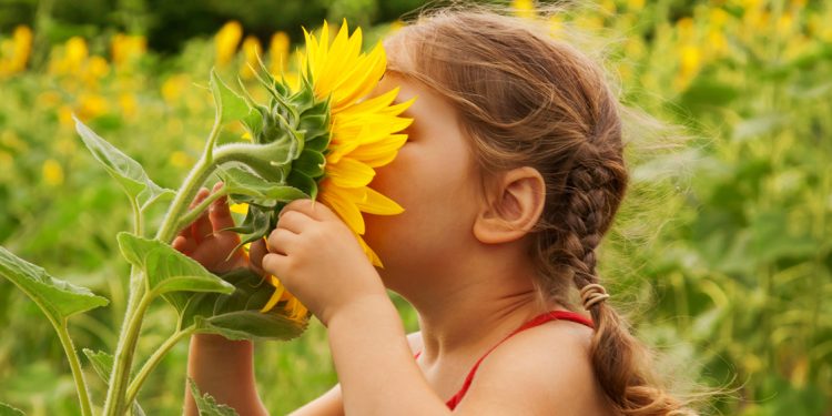 6 actividades para fomentar el cuidado del medio ambiente