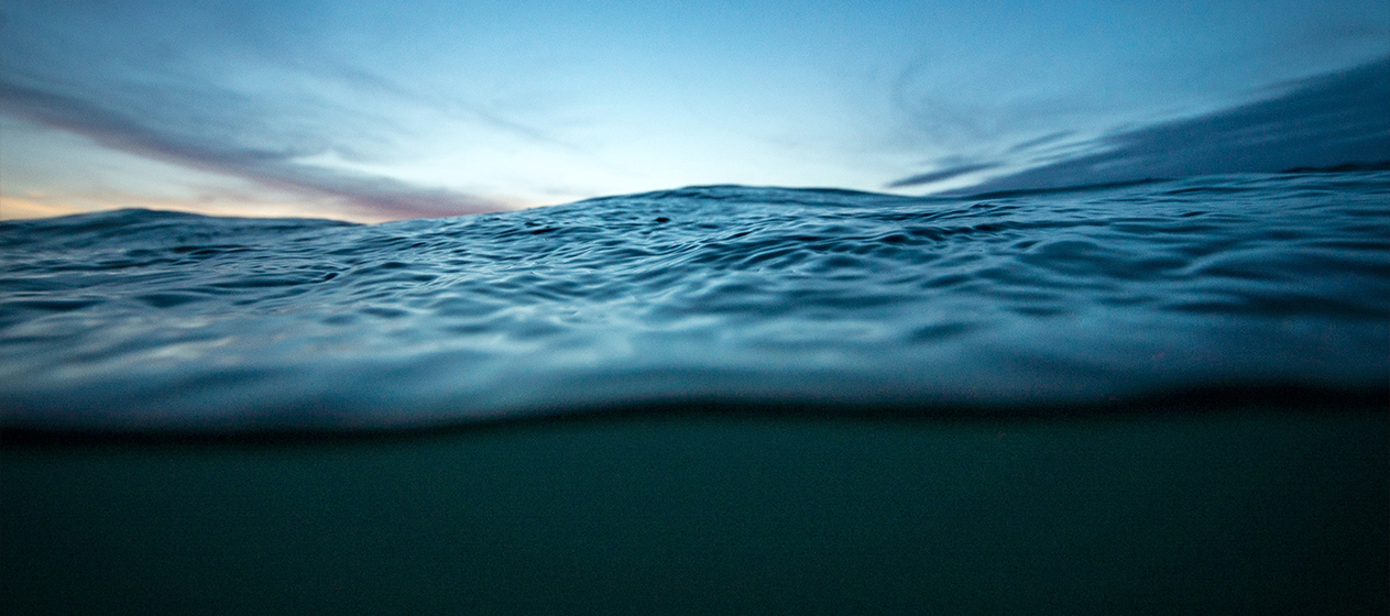 foto bajo el agua para ilustrar Exploradores del Océano