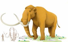 imatge mamut llanut per a animals extingits