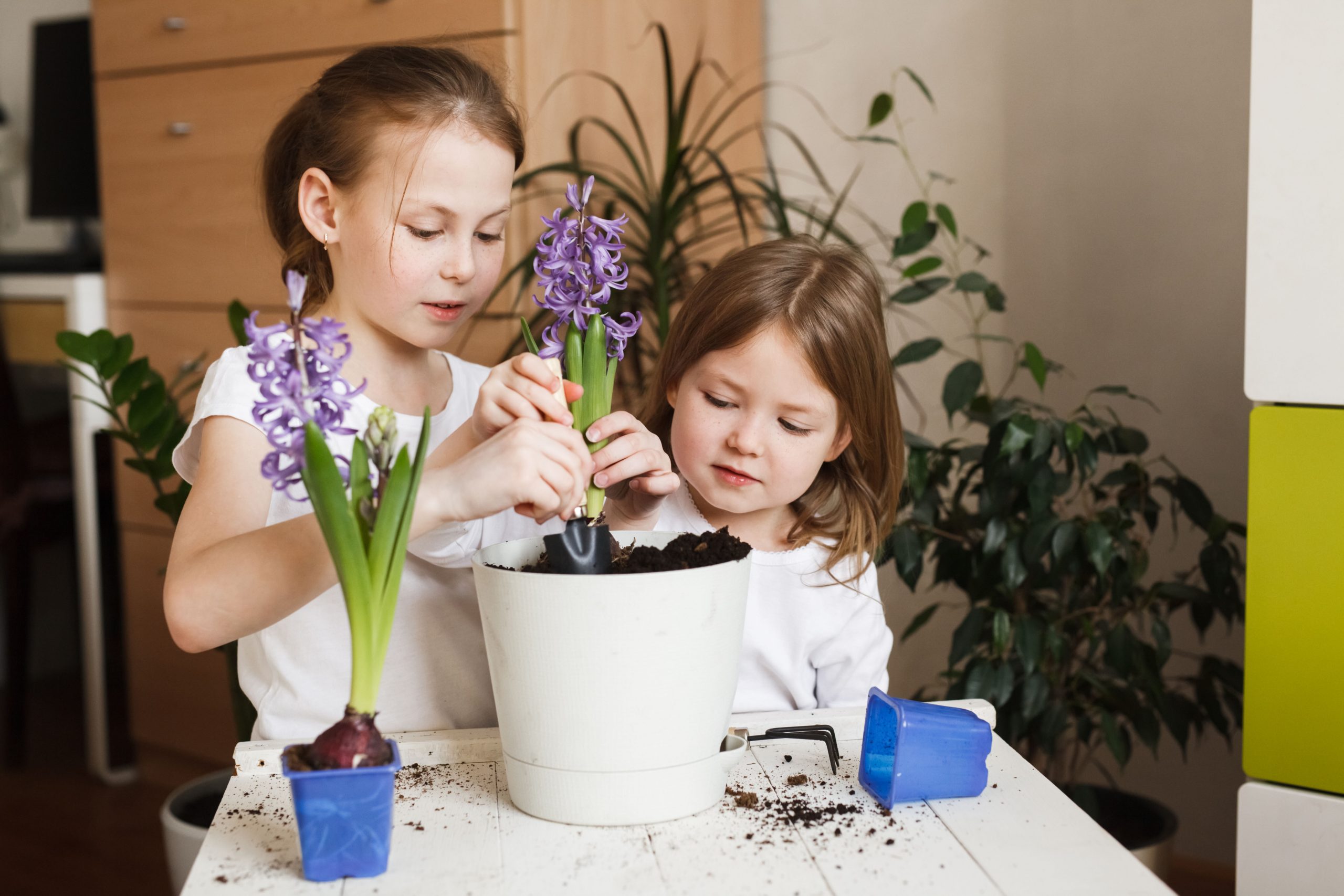 Nenes plantant una planta 